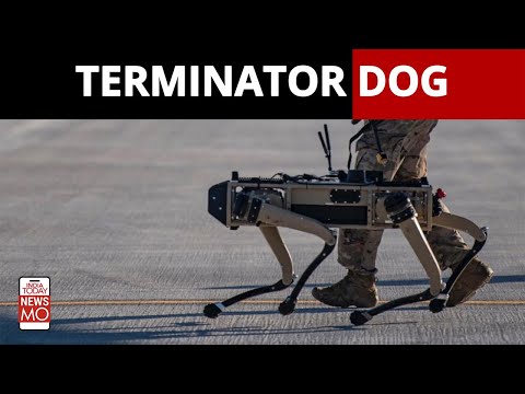 Terminator Dog Deployed At U.S Border | NewsMo | India Today