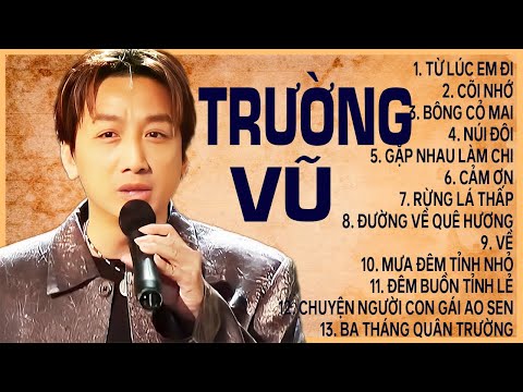 Từ Lúc Em Đi - Siêu Phẩm Nhạc Hải Ngoại TRƯỜNG VŨ Bất Hủ Để Đời || Nhạc Xưa Hay Nhất
