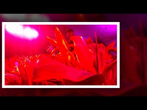 John Rivera Trio + One