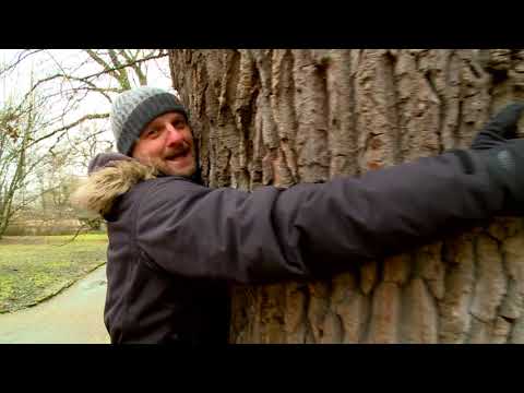 SÁRVÁR A POGGYÁSZBAN 20210227