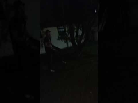 Niño croto pelea contra un árbol, real no fake, 100% Posta #UFC #WWE