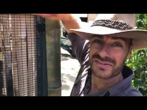 Kamp Kenan Army Reptile Cage Bonus