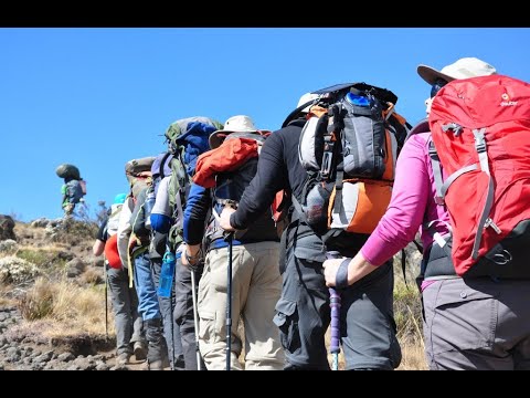 Typical Kili Trips Tanzania on camping route Kilimanjaro