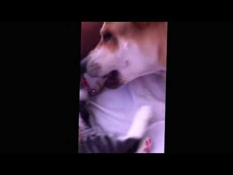 Benito en el spa con su masajista favorita .la Morita y beso incluido jajjaja