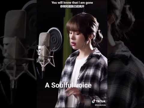 500 miles cover / the journeymen