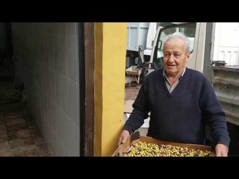 Almazara Gold 100 kg/h D. Mateo Martin Santa Lucia (Gran Canaria)