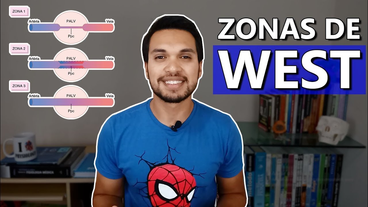 ZONAS DE WEST l Circulação Pulmonar [Respiratório 04]