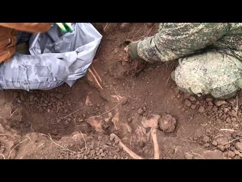 Discover the fallen defenders of Stalingrad. Battlefield tours of Volgograd