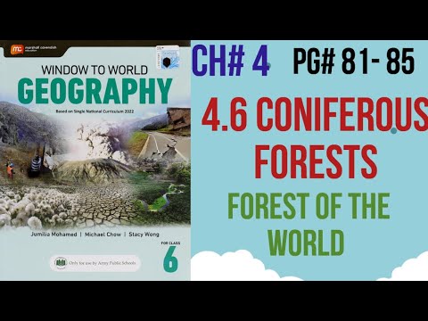 Coniferous Forests chapter 4. Forest of the world class 6 Pg # 81-85 window to World Geography