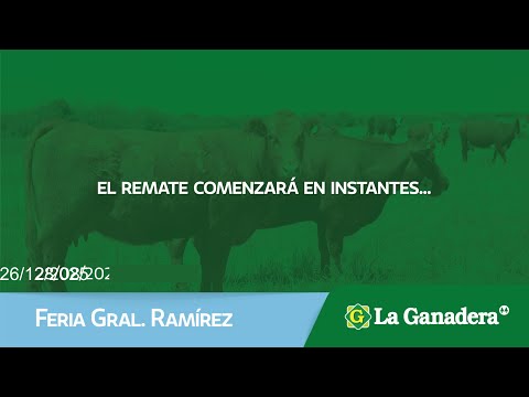 Remate de Hacienda Coop. LA GANADERA -  Feria Gral. Ramírez. Viernes 26 de Diciembre 2025.