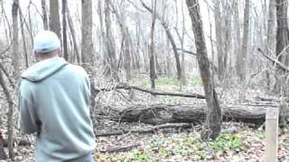 moser ace the one that started it all.mpg