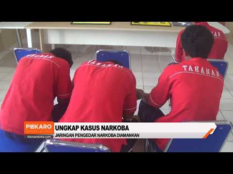 Jaringan Pengedar Narkoba Ditangkap
