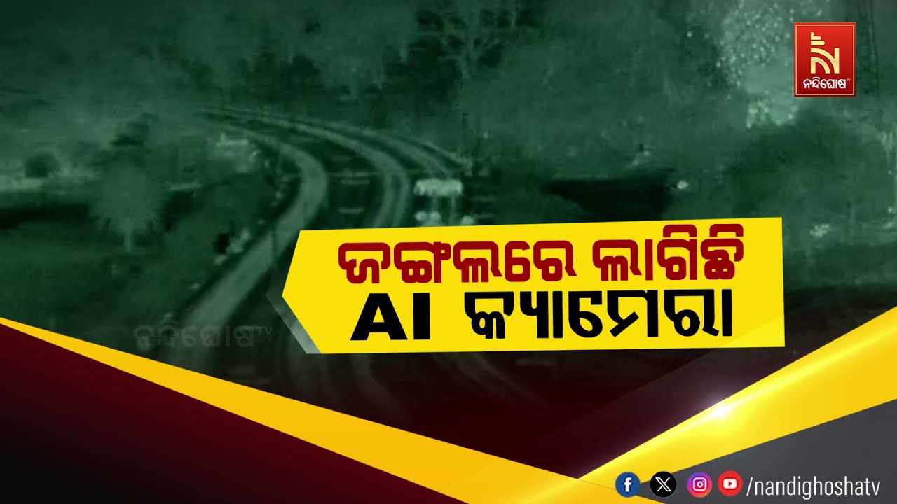 🔴Live | ଜଙ୍ଗଲରେ ଲାଗିଛି AI କ୍ୟାମେରା