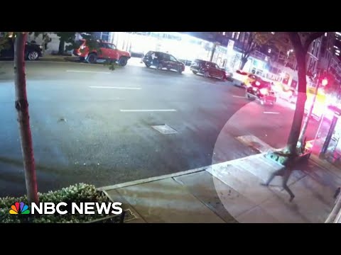 Surveillance cameras capture deadly police shootout in NYC
