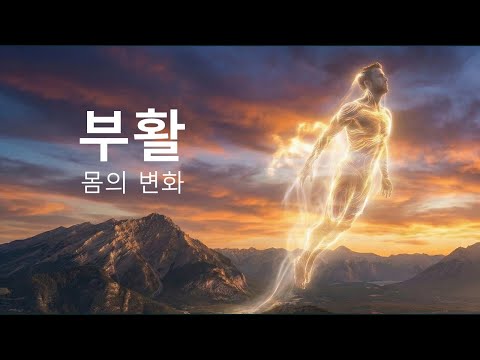 YouTube 영상 idVjfo