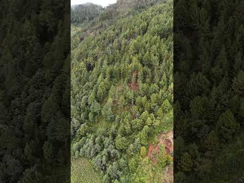 Aldea Suntelaj San Miguel Acatán Huehuetenango Guatemala