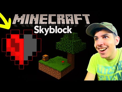 Riuscirò a Finire UNA SKYBLOCK HARDCORE con SOLO Mezzo Cuore?
