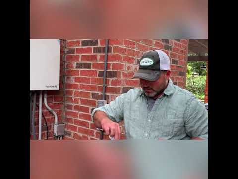 Salt gun vs Texas Hornets Nest! SaltSWAT takedown of Hornets Nest around my pool equipment