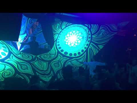 BASHER TOE Live @ Fusion Culture , Duplex Club Tel Aviv Dec 2019