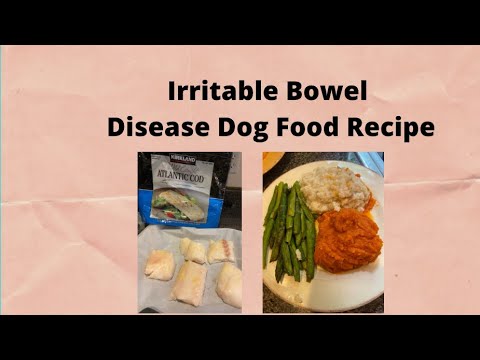 Irritable Bowel Disease dog recipe