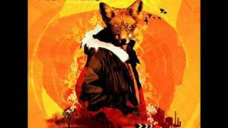 The Twang - Angelsey