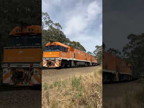 TRAINS AM22 JBR Great Southern Adelaide to Brisbane 6AK8 NR30 NR31 17/12/2021