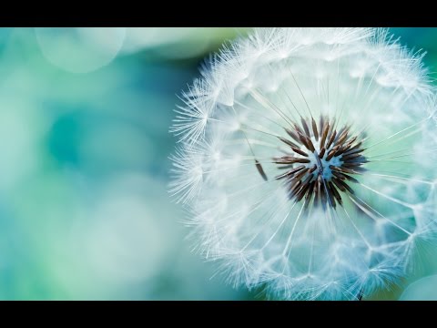 Ahmed Saeed Al-Omrany | Adhan (Call To Prayer) | Dhuhr, Asr, Maghrib, Isha | أحمد سعيد العمراني