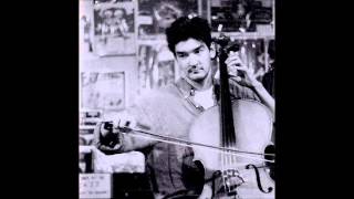 The Magnetic Fields - All My Little Words