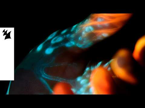 Joris Voorn x Pig&Dan feat. LIVI - Been There Before (Official Visualizer)