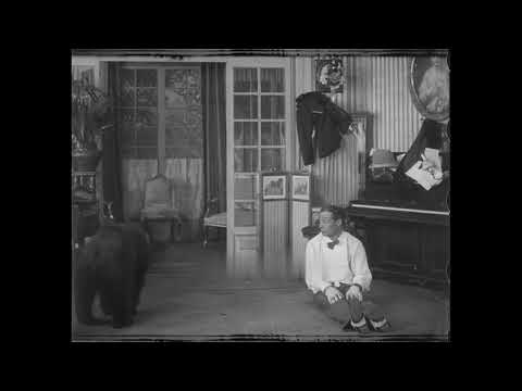 Onésime et le pas de l'ours