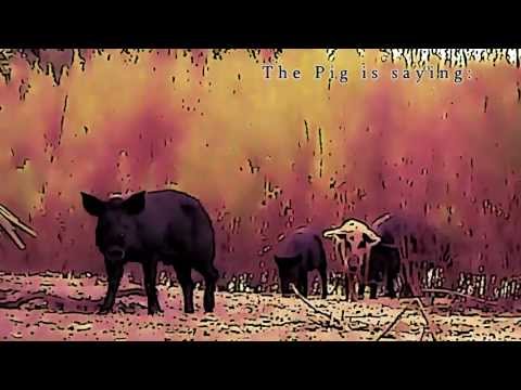 Perek Shira - Nature's Song - Pig Scene