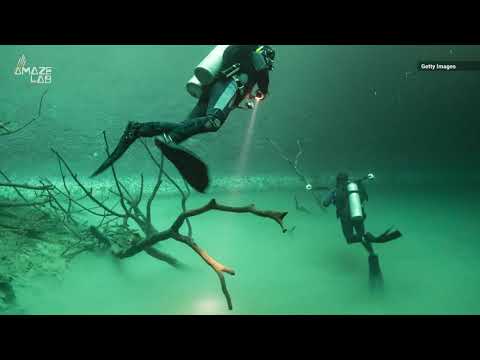 Mexico’s Cenote Angelita is Hiding a Secret Underwater River