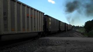 preview picture of video 'BNSF Coal Drag, Larkspur, CO'