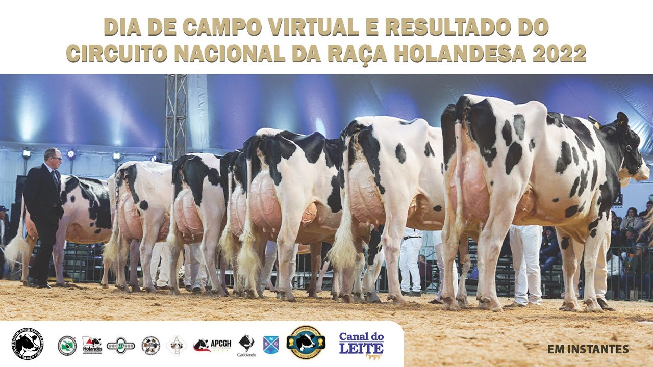 DIA DE CAMPO VIRTUAL E RESULTADOS DO CIRCUITO NACIONAL DA RAÇA HOLANDESA 2022