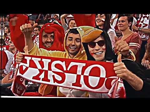 Polska 3:2 Brazylia MŚ 2014 Skrót meczu