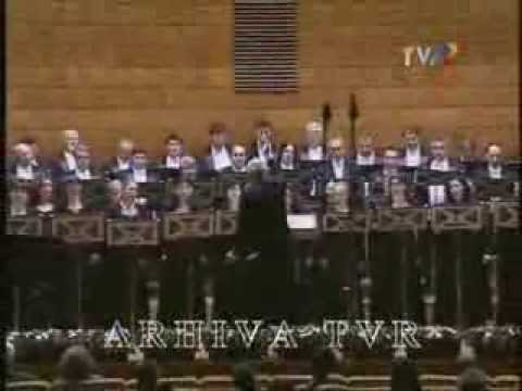 Vasile SPATARELU - Ave Maria