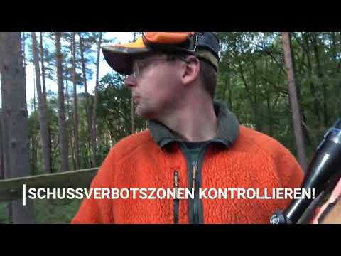 Drückjagd - Verhalten beim Anstellen