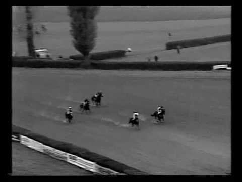 Velká Pardubická 1991 - Grand steeplechase in Pardubice.Full race - Old Taxis.