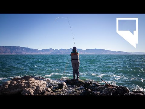 First Paiute woman fly fishing guide at Pyramid Lake hopes to blaze a trail for others | Indy TV