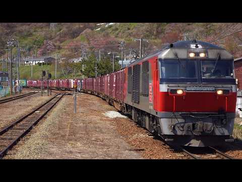 DF200メンテナンス必要です、引取り限定になります TOMIX】DF200形0番代（新塗装）2024年11月発売 | モケイテツ