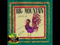 Big Mountain - Peaceful Revolution