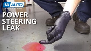 Smelly Puddle Under My Car or Truck? How to Diagnose Power Steering Leak