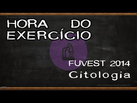 Gametogênese - FUVEST 2015