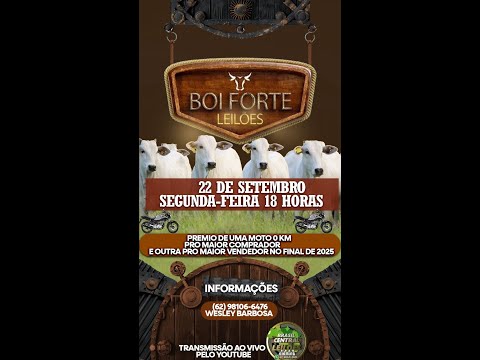Boi Forte Leilões - Uirapuru - Goiás -  Ao vivo - Segunda-Feira 03 de Novembro de 2025