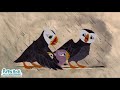 Isabelle S Song Puffin Rock And The New Friends