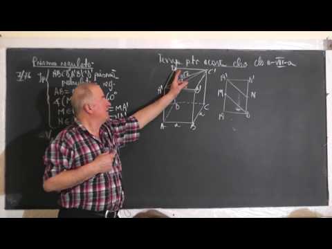 1/3 Lectia 1383 Prisma Diagonala prismei Distanta de la un punct la un plan si la o dreapta Clasa 8