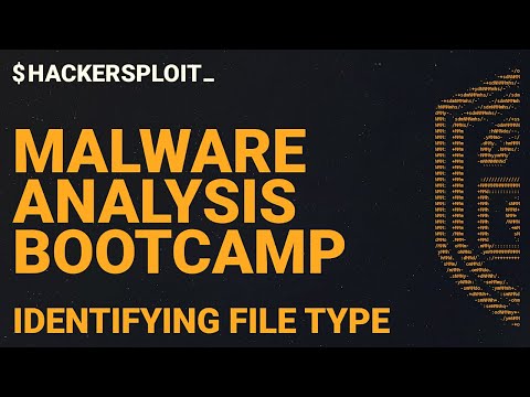 Malware Analysis Bootcamp - File Type Identification