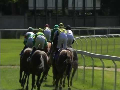 2017.06.18 Premio del Giubileo (ITA) - Voice of Love