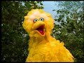 Classic Sesame Street Big Bird Talks About Feelings