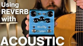 Strymon blueSky Reverberator - What To Know & Where To Buy Strymon blueSky Reverberator - What To Know & Where To Buy